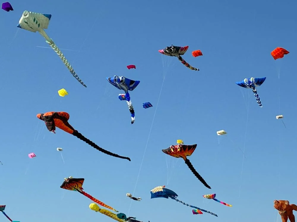 Mehr über den Artikel erfahren Fotos Jubiläum 2025